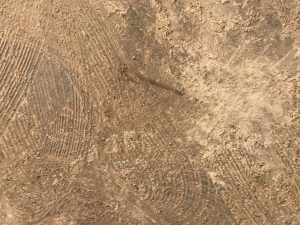 Lees meer over het artikel Lijmresten verwijderen en epoxy vochtscherm plaatsen Heerhugowaard