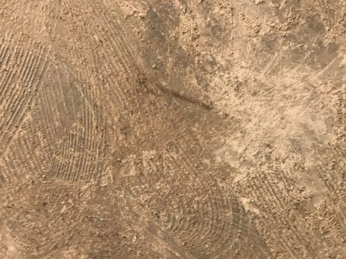 Lijmresten verwijderen en epoxy vochtscherm plaatsen Heerhugowaard