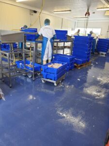 Lees meer over het artikel Visgroothandel Yerseke krijgt nieuwe, vloeistofdichte antislipvloer