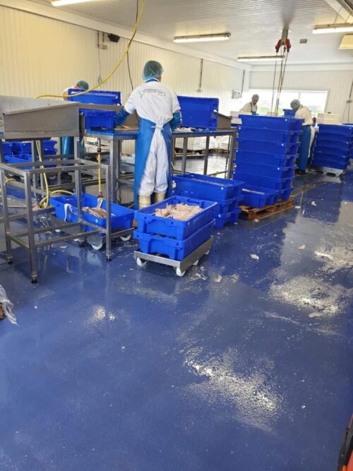 Visgroothandel Yerseke krijgt nieuwe, vloeistofdichte antislipvloer