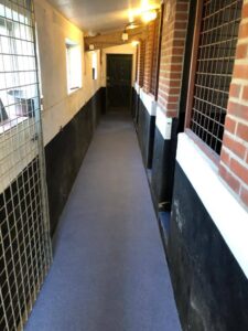 Lees meer over het artikel Krasbestendige vloer voor hondenpension Oud-dijk