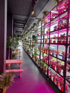 Lees meer over het artikel PMMA vloer hotel Arnhem realiseren